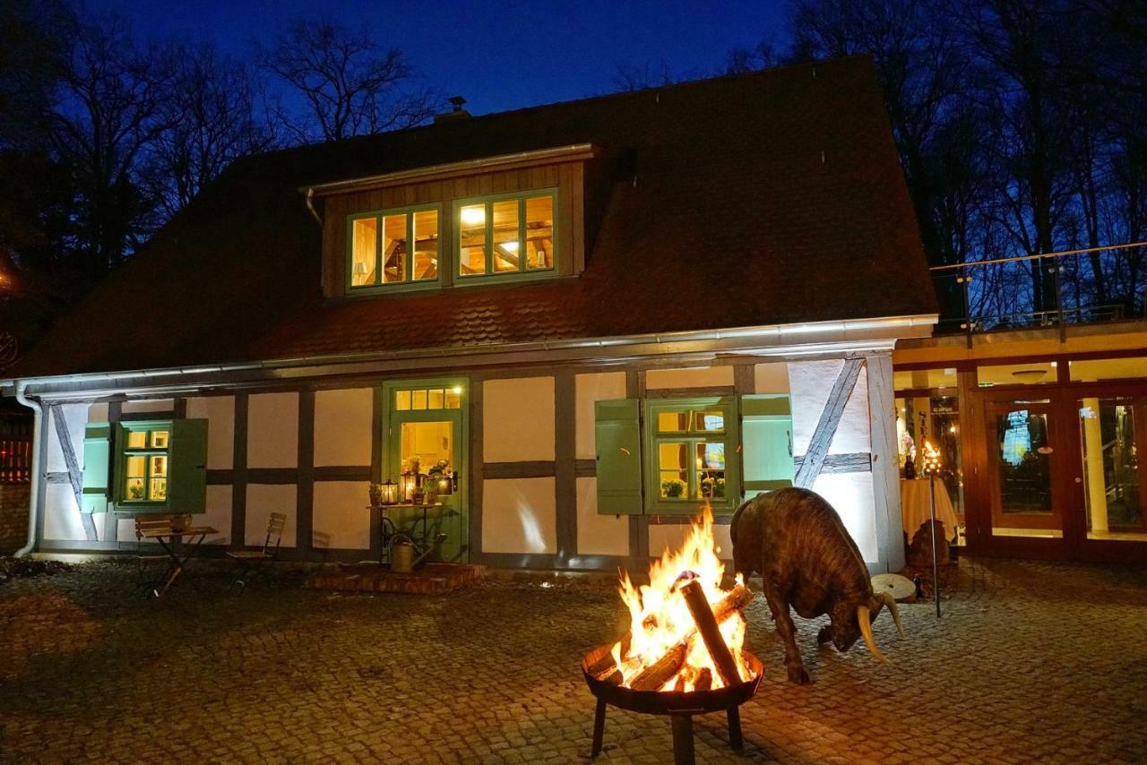 Apartment 4 - Gourmetzimmer Bestensee Buitenkant foto